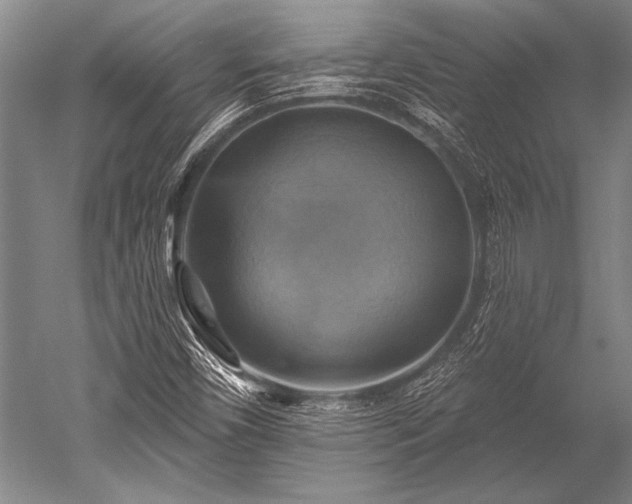 X0000052571450200507081649