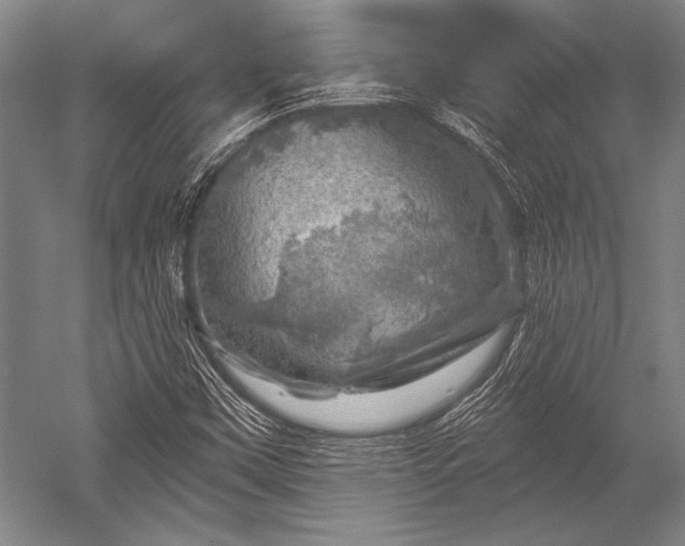 X0000052571451200507081649