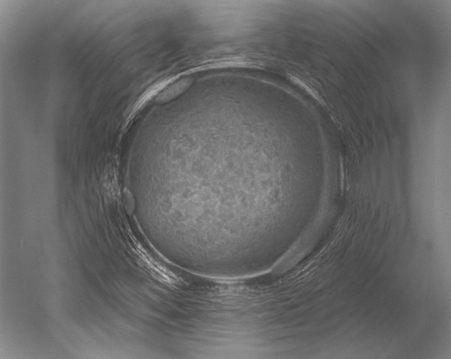 X0000052571452200507081649