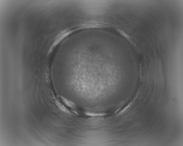 X0000052571453200507081649