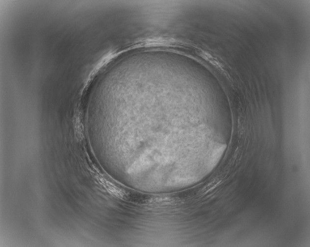 X0000052571454200507081649