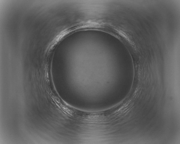 X0000052571455200507081649