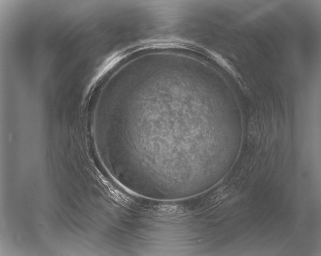 X0000052571456200507081649