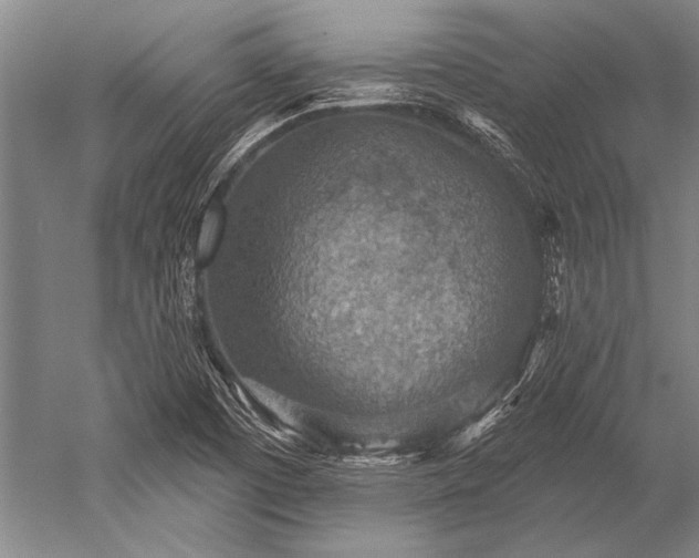 X0000052571457200507081649