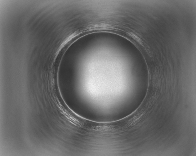 X0000052571458200507081649