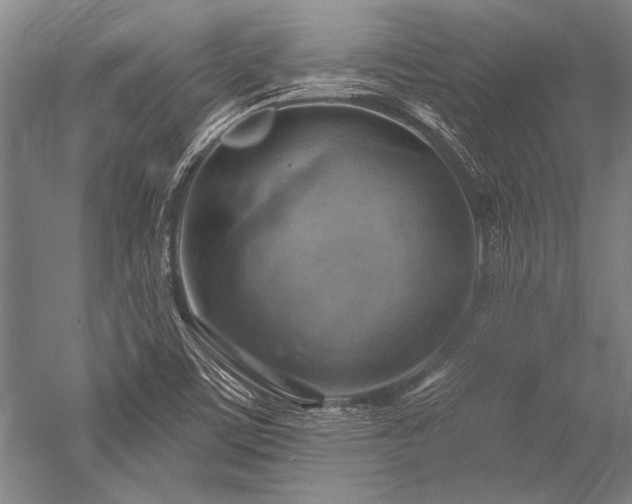 X0000052571459200507081649