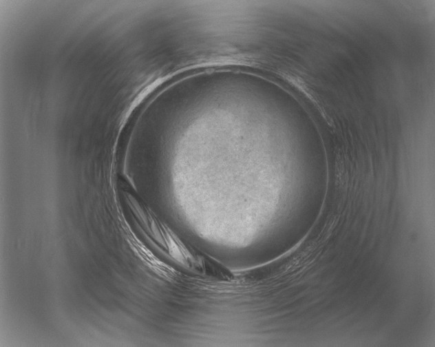 X0000052571460200507081649