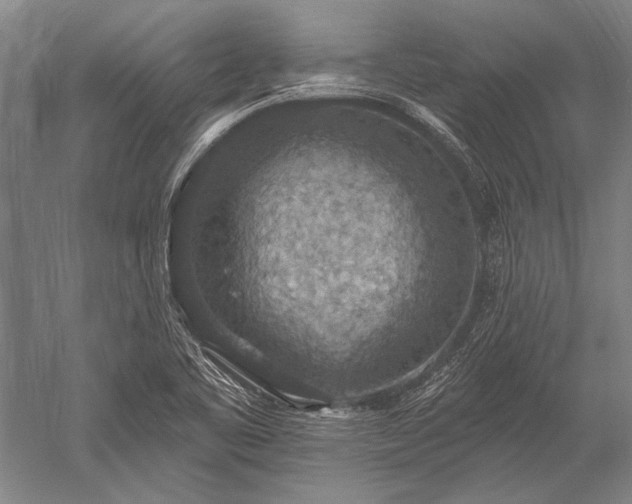 X0000052571461200507081649