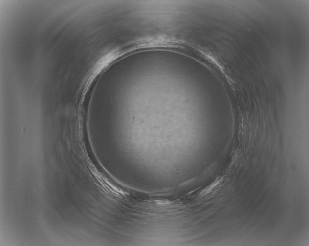 X0000052571463200507081649