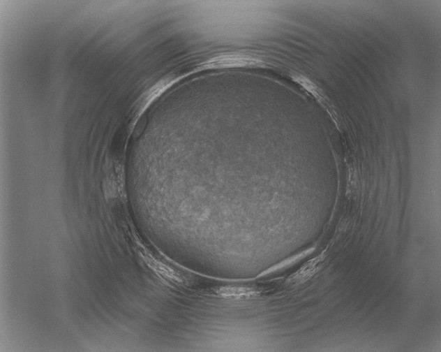 X0000052571465200507081649