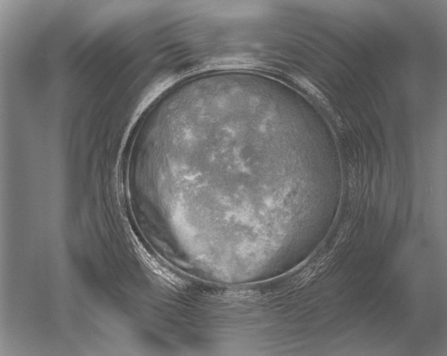 X0000052571466200507081649