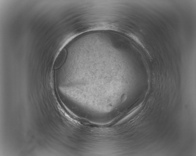 X0000052571468200507081649