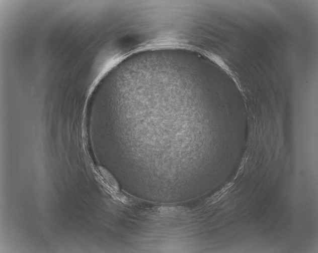 X0000052571469200507081649