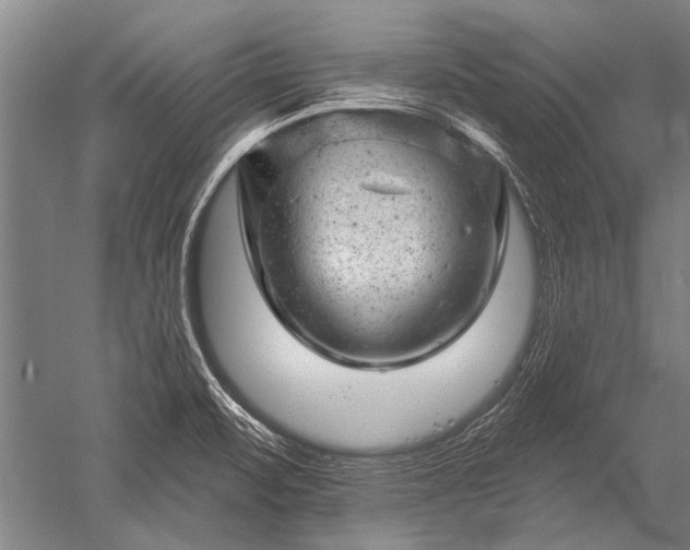 X0000052571471200507081649