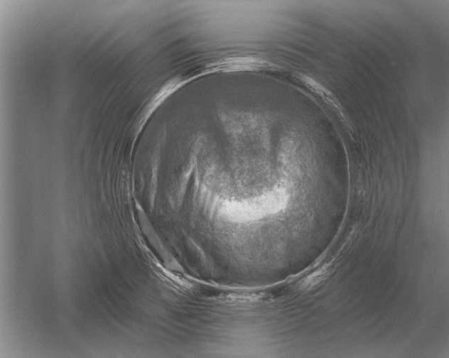 X0000052571473200507081649