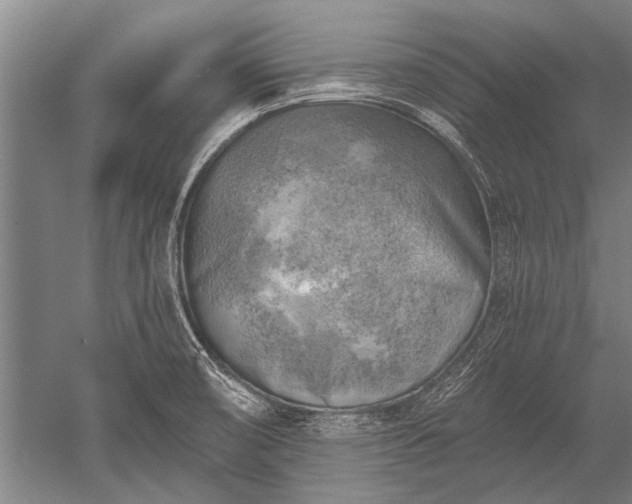 X0000052571474200507081649