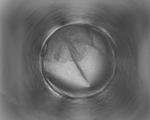 X0000052571476200507081649