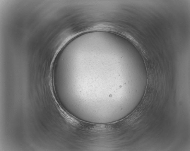 X0000052571478200507081649