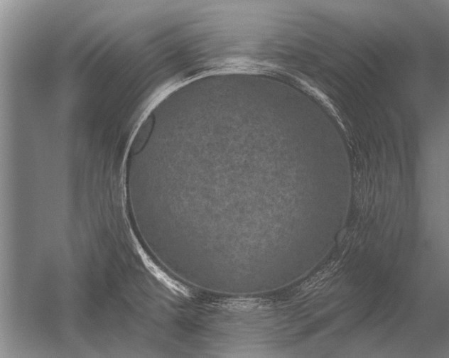 X0000052571479200507081649