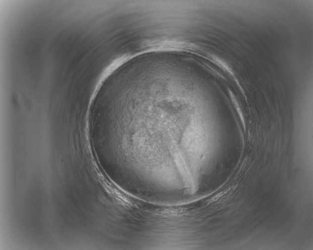 X0000052571480200507081649