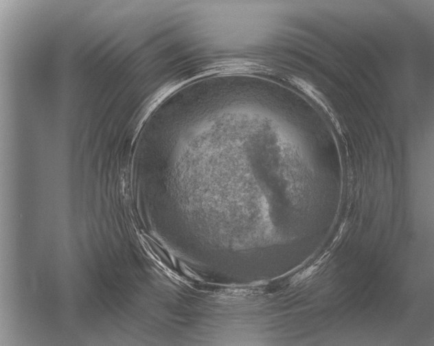 X0000052571481200507081649