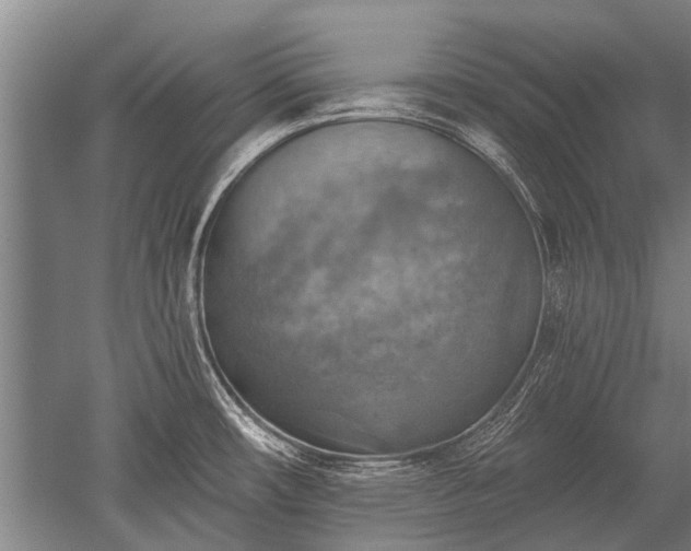 X0000052571482200507081649