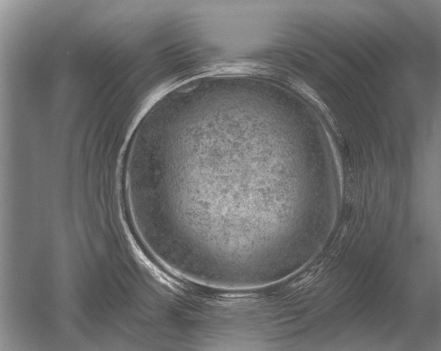 X0000052571483200507081649