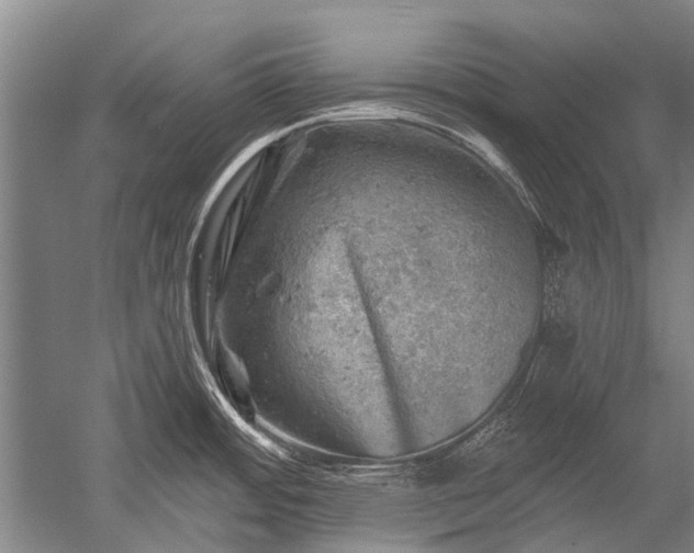 X0000052571484200507081649