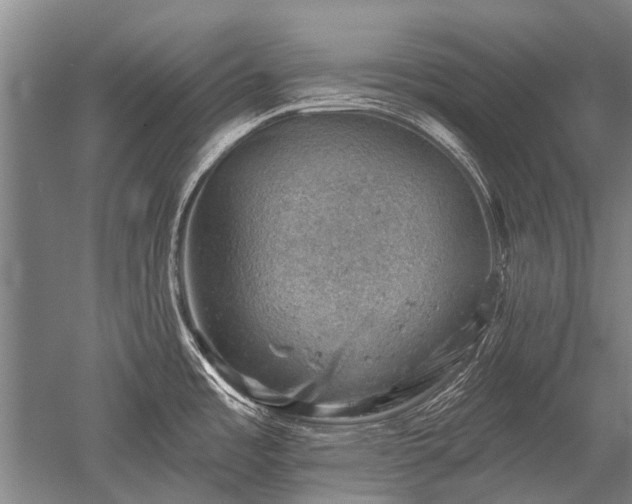 X0000052571485200507081649