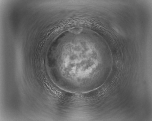 X0000052571489200507081648