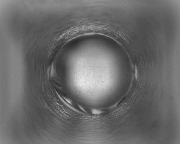 X0000052571492200507081648