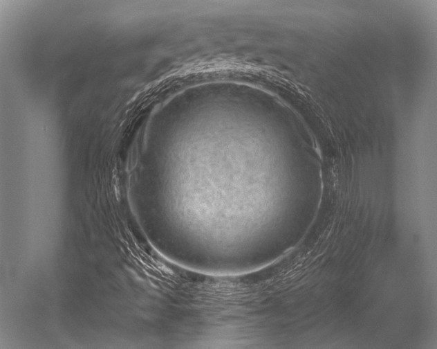 X0000052571493200507081648