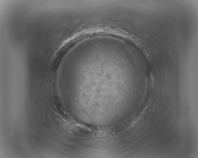 X0000052571494200507081648