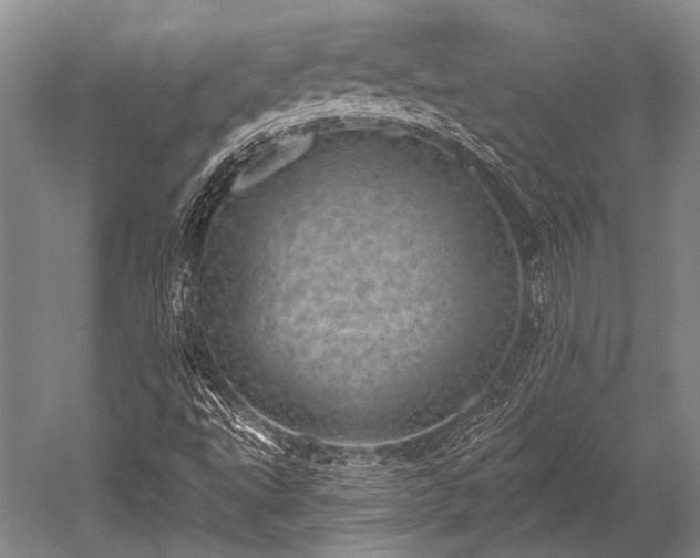 X0000052571495200507081648