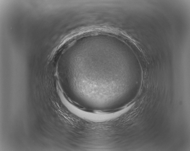 X0000052571496200507081648