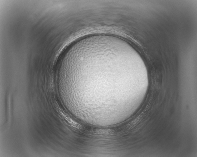 X0000052571498200507081648