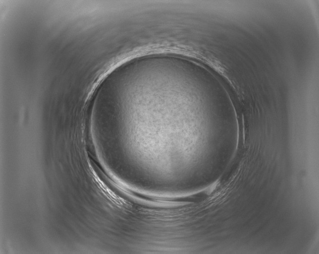 X0000052571500200507081648