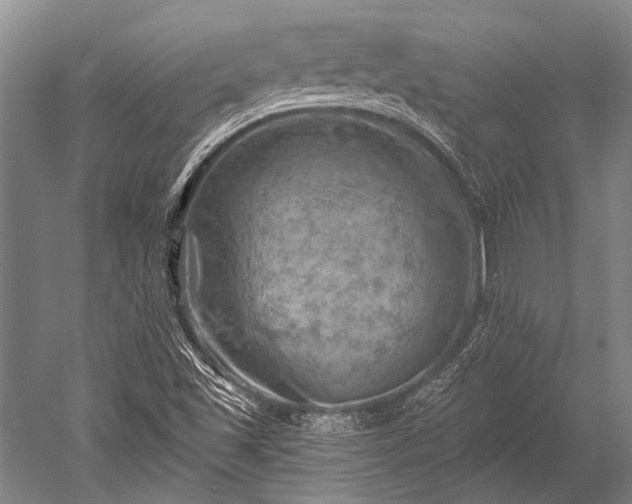 X0000052571501200507081648