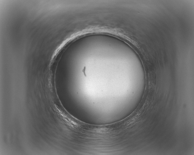 X0000052571502200507081648