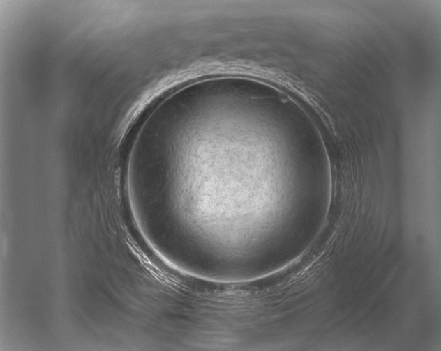 X0000052571503200507081648