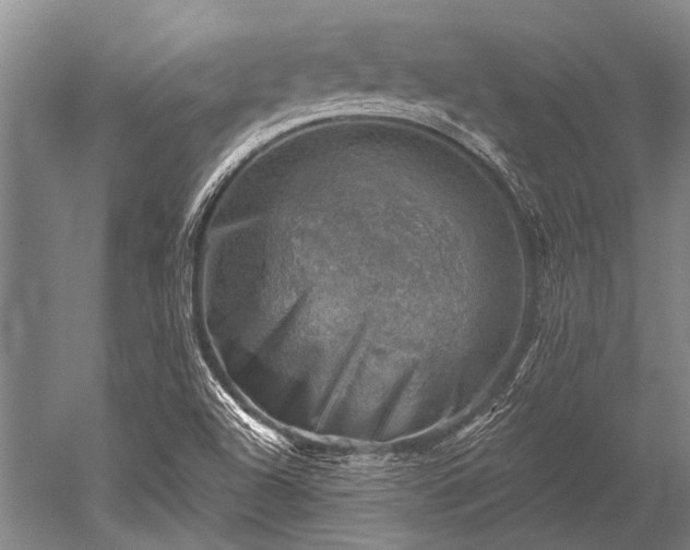 X0000052571504200507081648