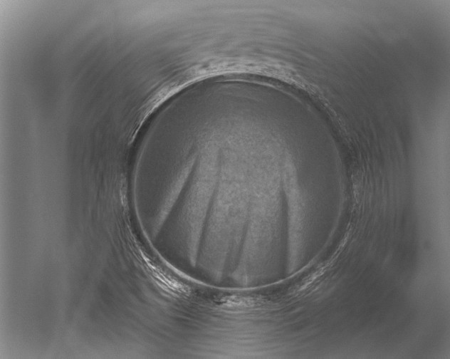 X0000052571505200507081648