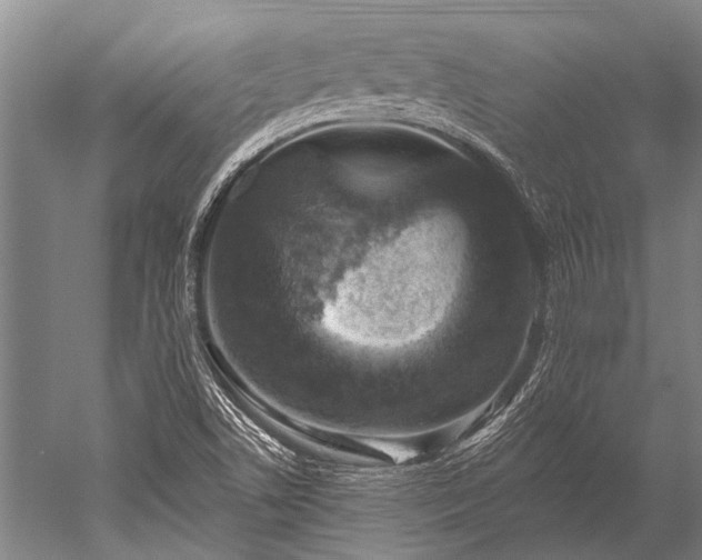 X0000052571506200507081648