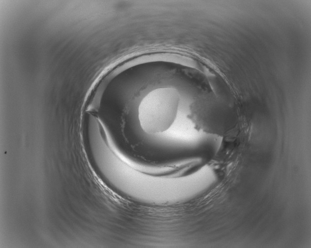 X0000052571508200507081648