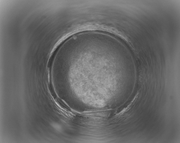 X0000052571509200507081648