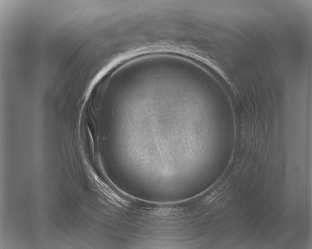 X0000052571510200507081648