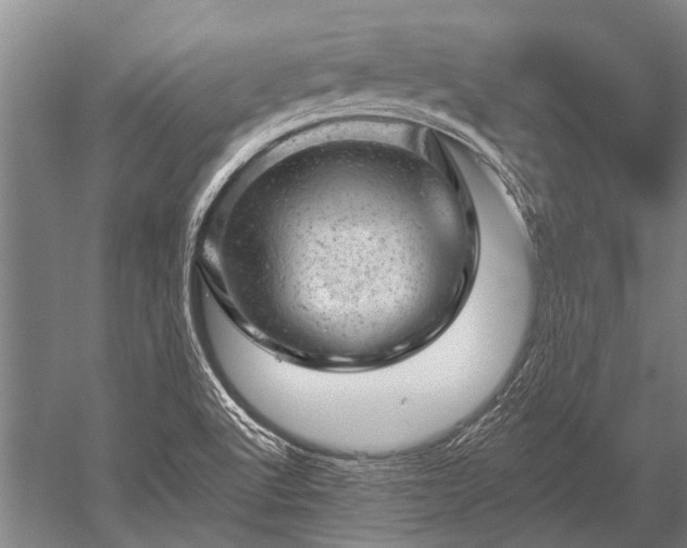 X0000052571512200507081648