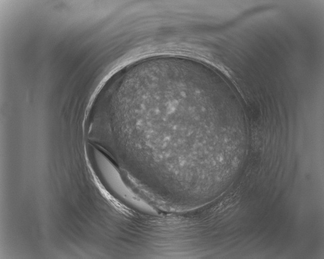 X0000052571515200507081648