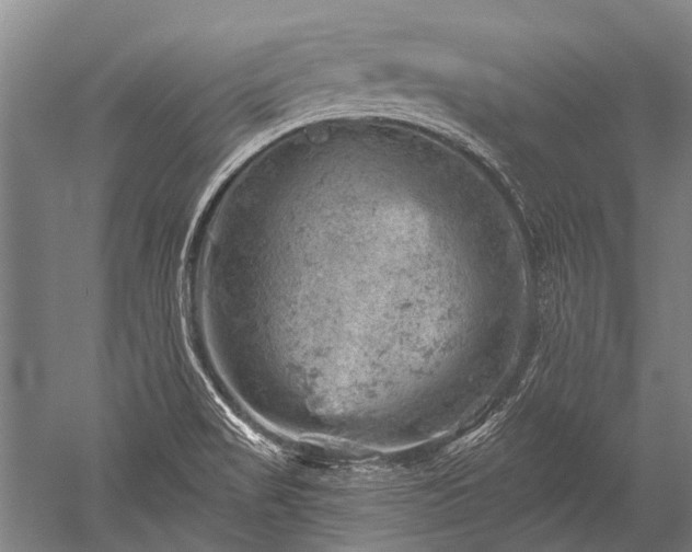 X0000052571517200507081648