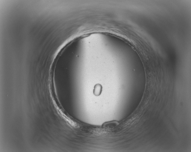 X0000052571518200507081648